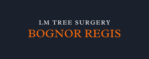 LM Tree Surgery Bognor Regis